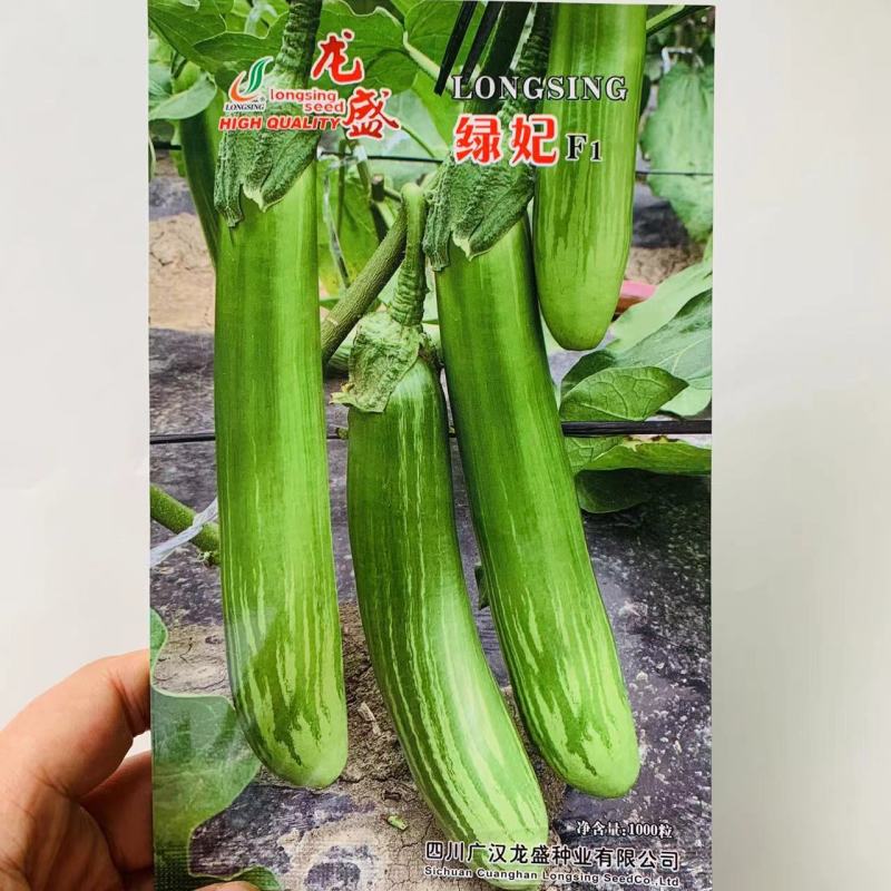 龙盛绿妃茄子种子绿长茄种子绿萼竹丝茄种籽卖相好丰产耐运