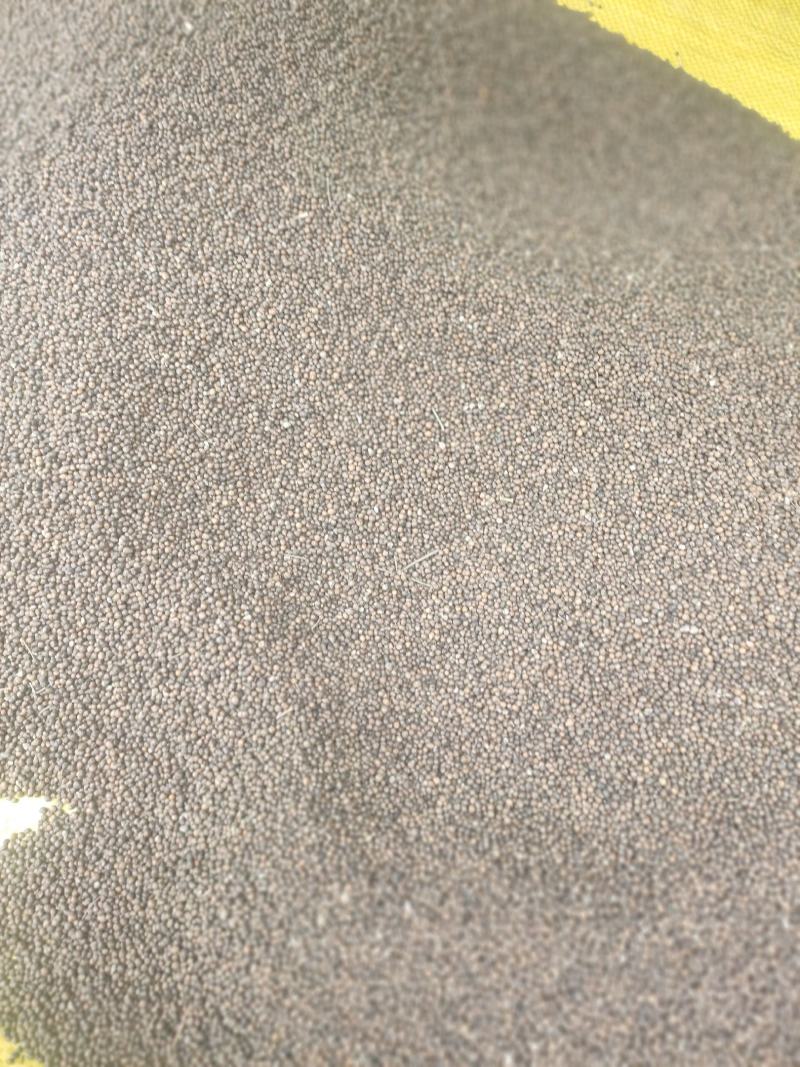 黄荆子干货牡荆子布荆子中药材欢迎选购！量大从优！