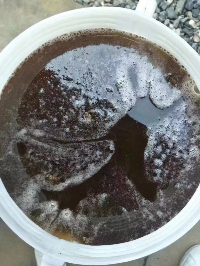 蜂蜜龙眼蜂蜜，一手货源，自产自销仅拿回人工费