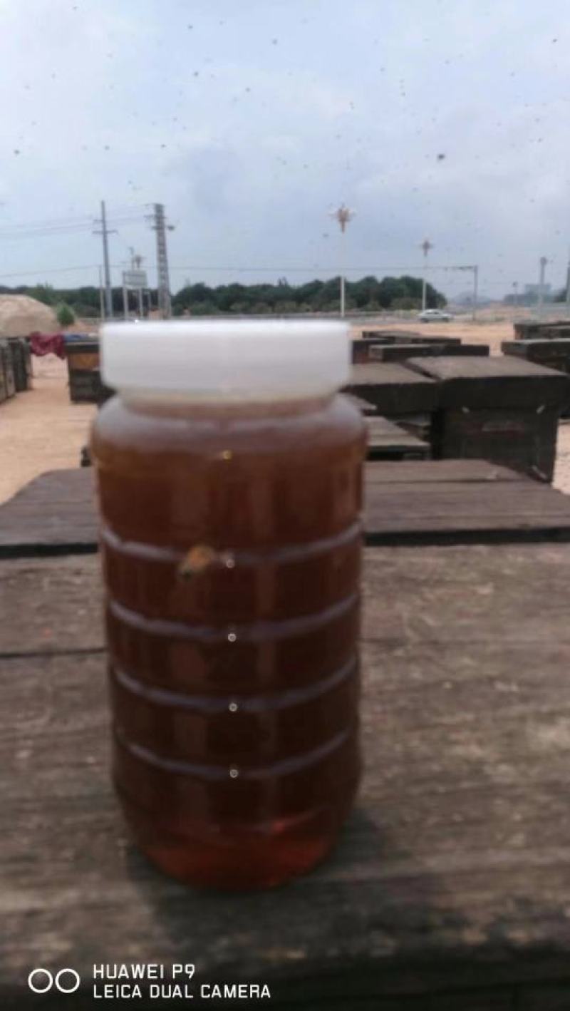 蜂蜜龙眼蜂蜜，一手货源，自产自销仅拿回人工费