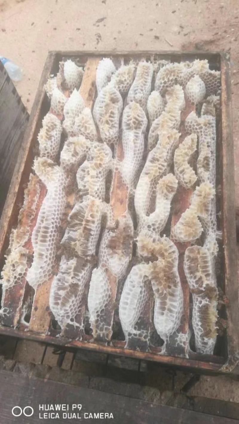 蜂蜜龙眼蜂蜜，一手货源，自产自销仅拿回人工费