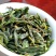 鸭屎香单丛茶叶凤凰单枞茶抽湿茶绿衣仙子鸭香浓香型清香型罐
