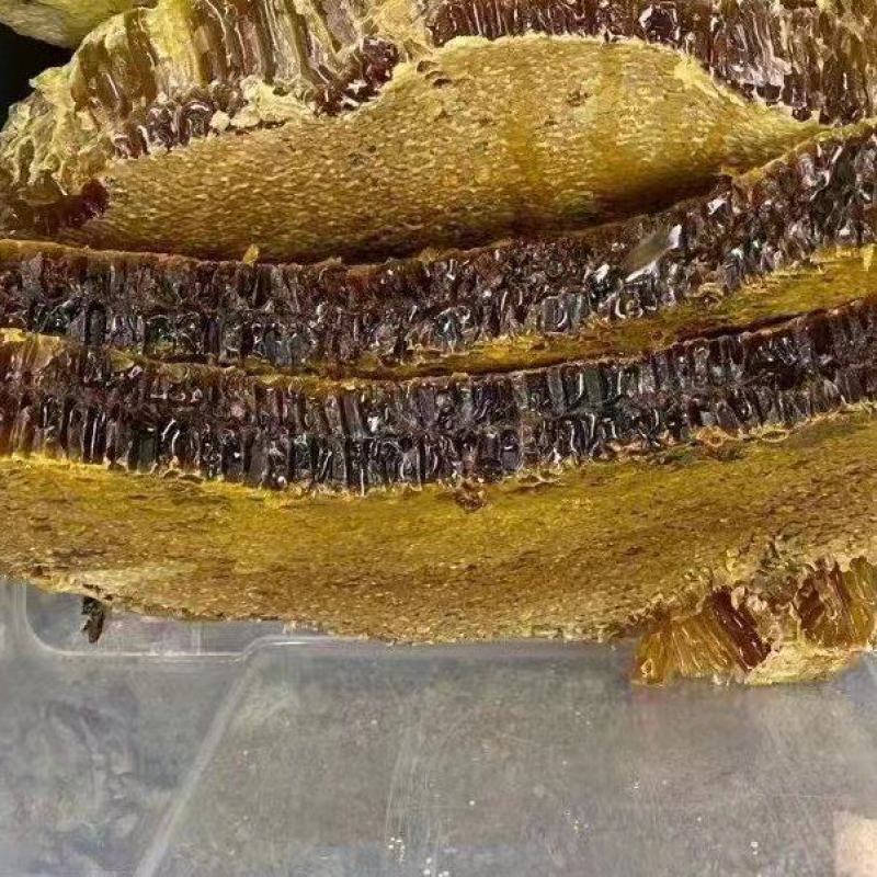 圆桶蜂巢蜜！传统养殖法，连桶带巢蜜发货！
