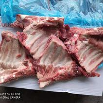多肉猪小排13一斤