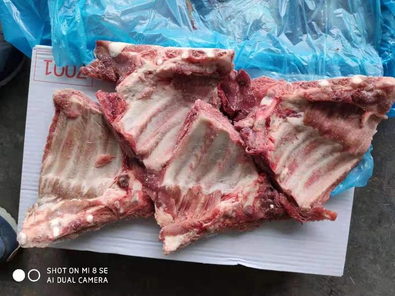 多肉猪小排13一斤