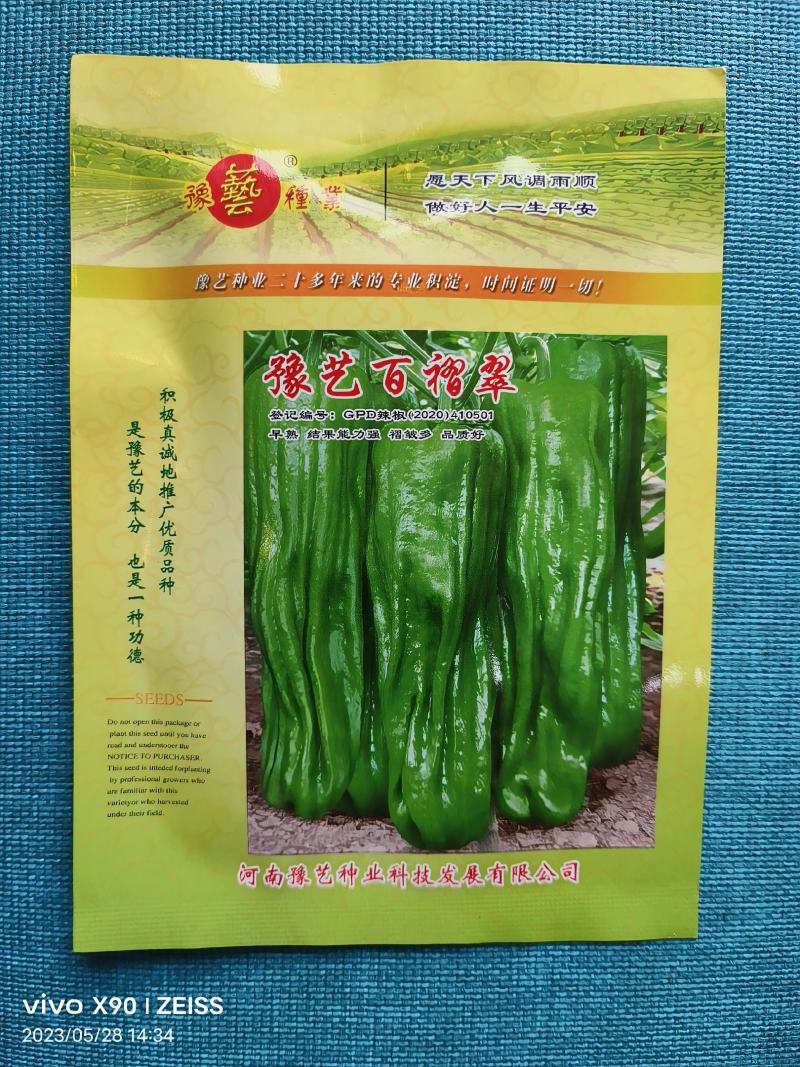 墨玉166薄皮泡椒种子上部果顺直不弯曲抗病高产早卖钱