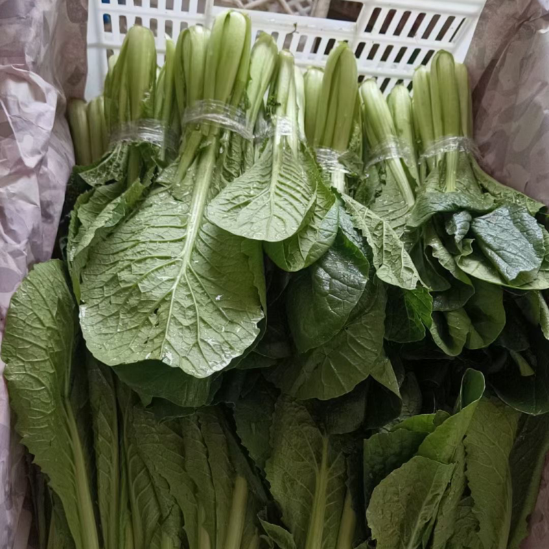 各种蔬菜