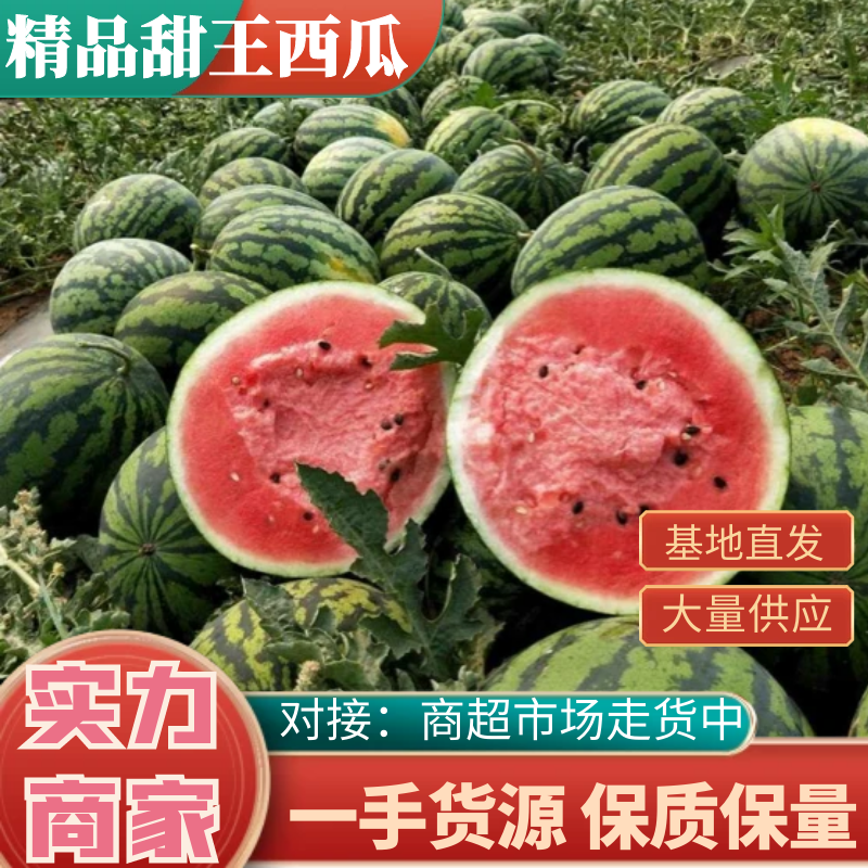 【精品推荐】陕西蒲城甜王西瓜大量上市全国供应