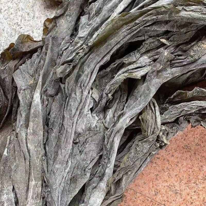 福建无沙干海带，挂晒