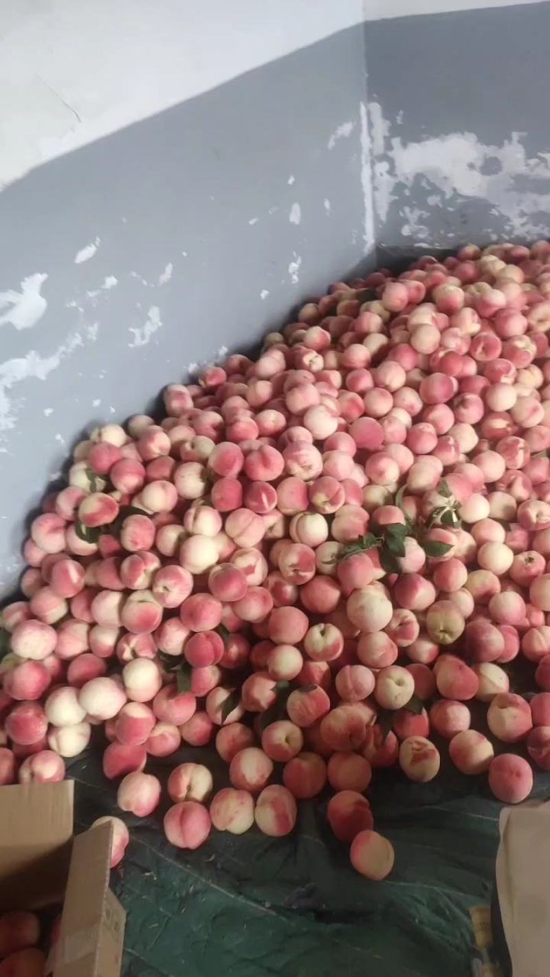 陕西礼泉纸袋桃膜袋桃大量上市了，欢迎需要的朋友前来采购