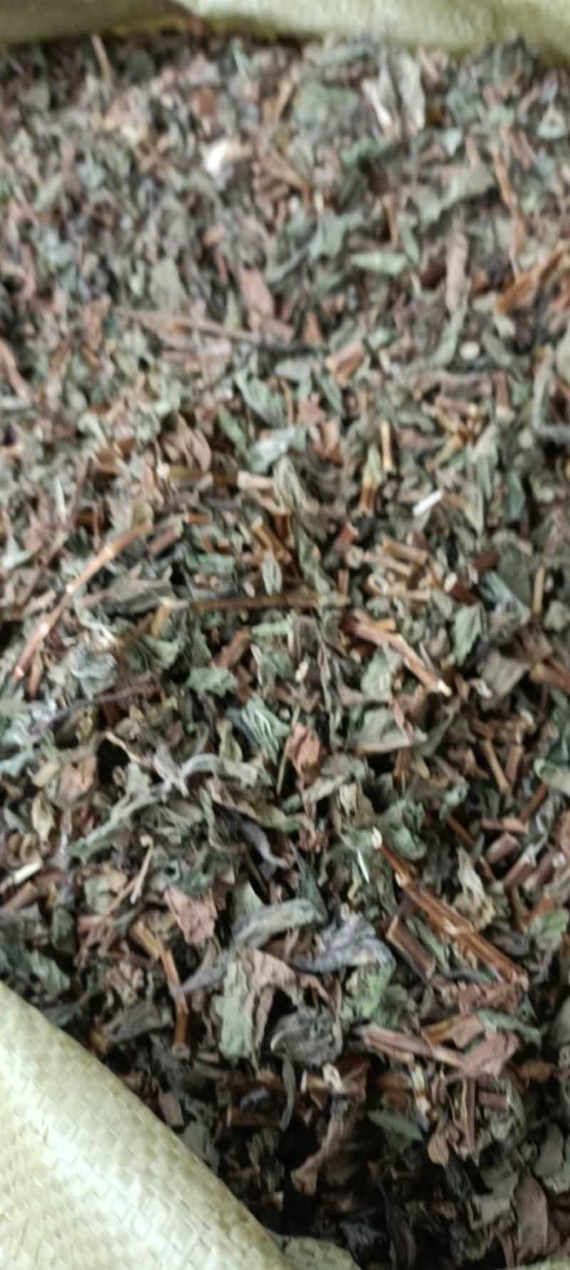 薄荷，新货，正品叶多，挥发油高，一手货源，量大从优