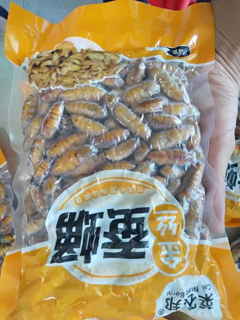 鲜冻食用金丝蚕蛹，饱满嫩香、营养价值高美味新鲜、粒粒金黄
