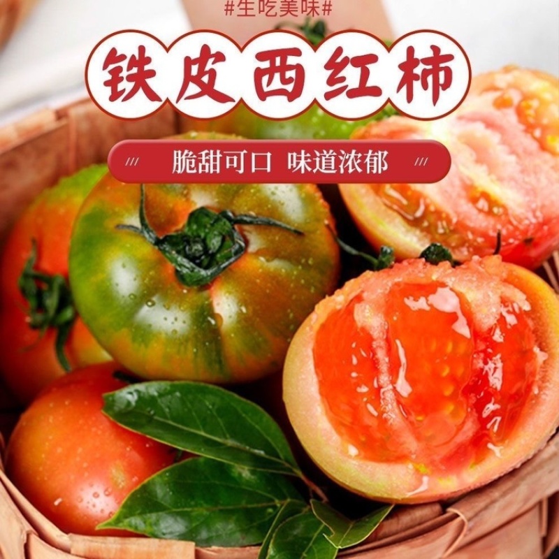 海阳草莓绿腚西红柿铁皮柿子脆甜沙瓤番茄现摘现发