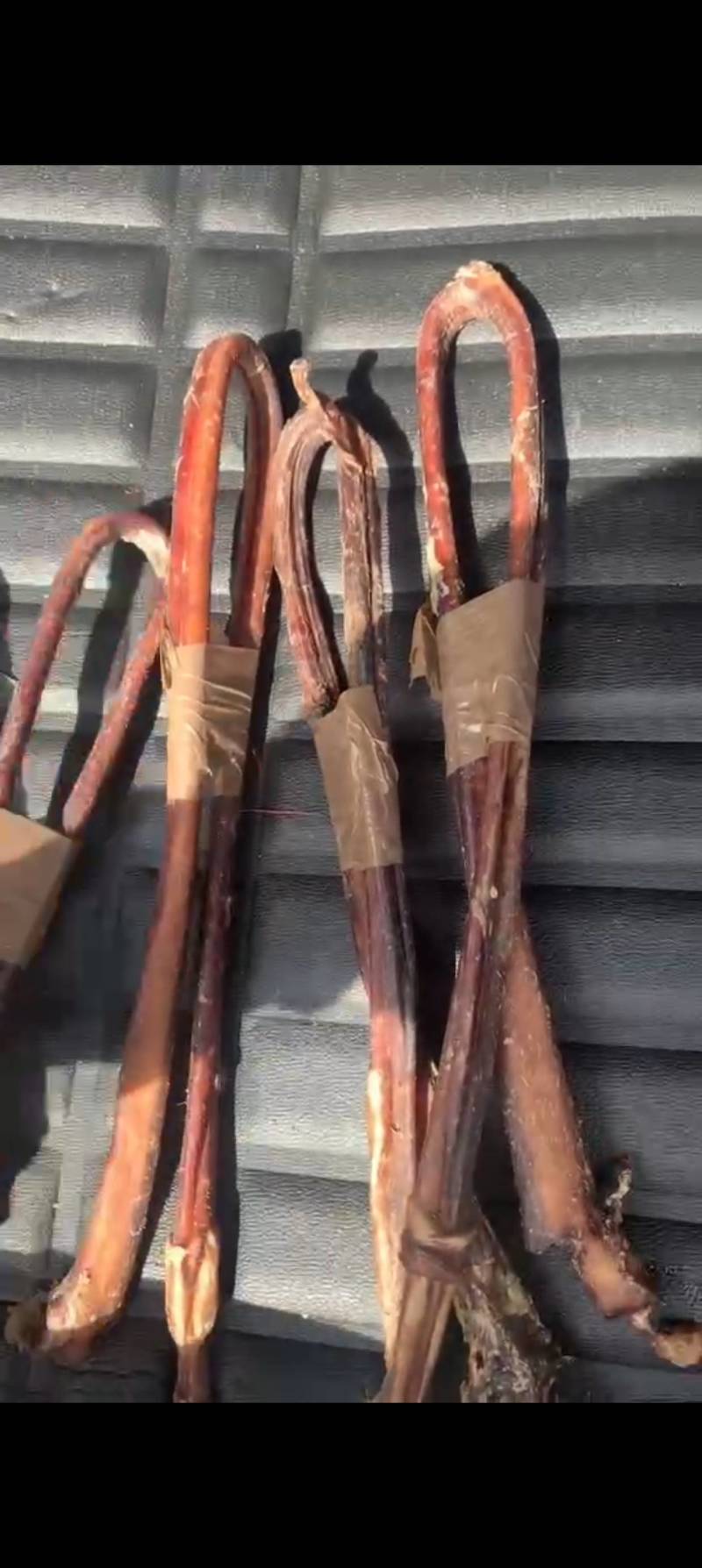 纯干牛鞭牛鞭，诚信经营，长期稳定，另长期提供干牛筋