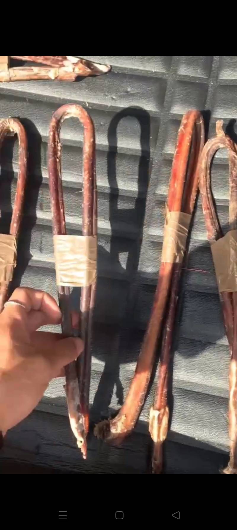 纯干牛鞭牛鞭，诚信经营，长期稳定，另长期提供干牛筋