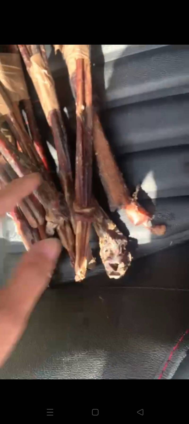 纯干牛鞭牛鞭，诚信经营，长期稳定，另长期提供干牛筋