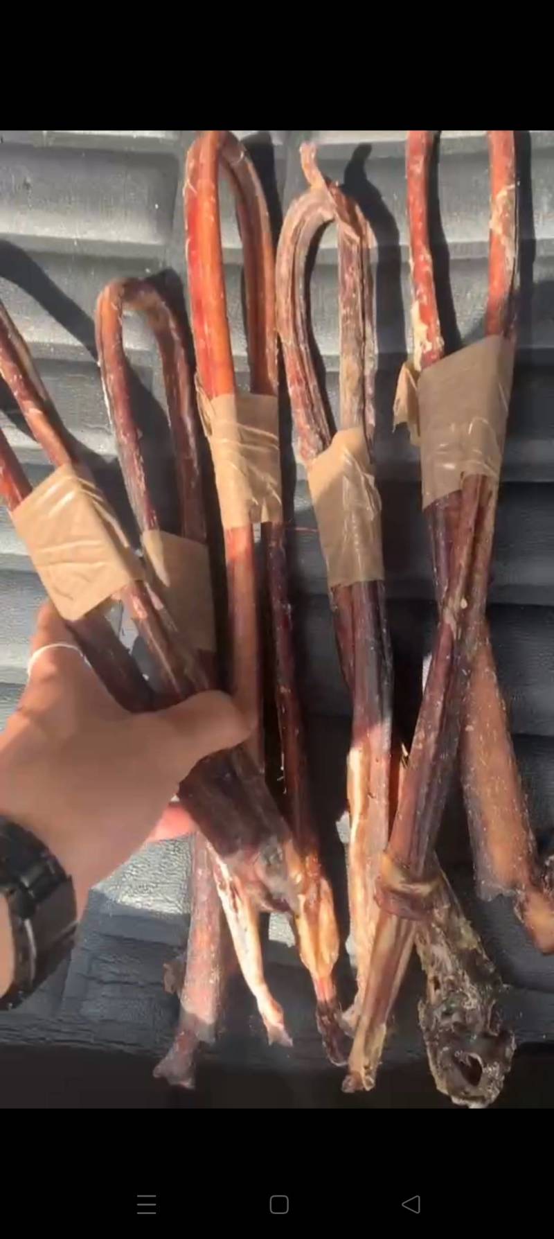 纯干牛鞭牛鞭，诚信经营，长期稳定，另长期提供干牛筋