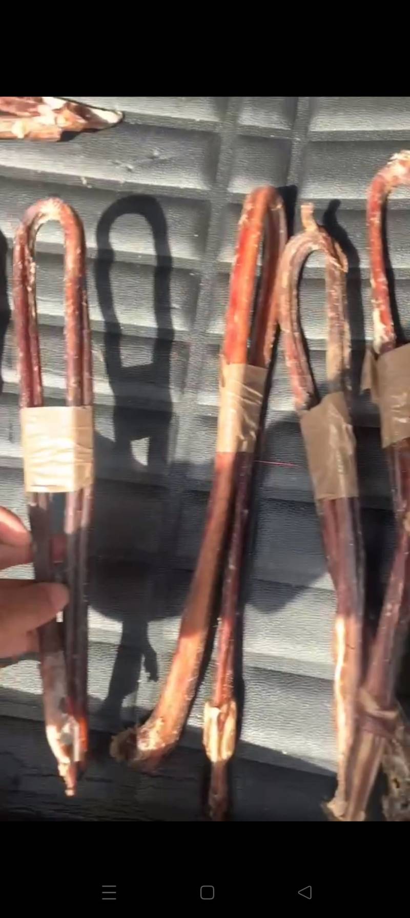 纯干牛鞭牛鞭，诚信经营，长期稳定，另长期提供干牛筋