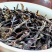 凤凰单丛茶潮州凤凰单枞茶乌岽单丛茶熟香桂花香单丛茶叶清香