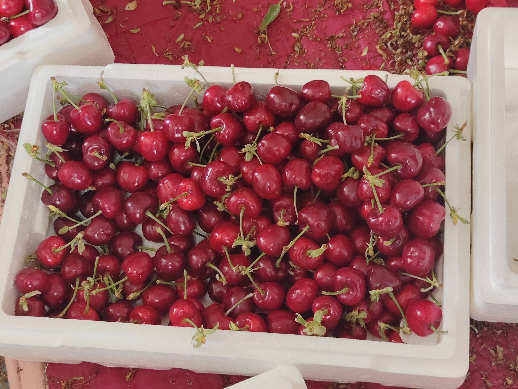 樱桃与其他食材搭配制作的健康饮品展示图