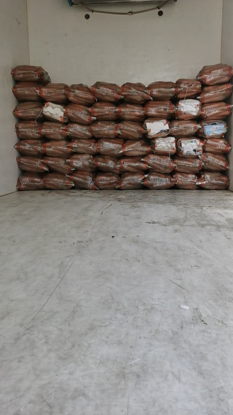 昌黎胡萝卜大量上市价格美丽需要的联系