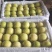丁香梨