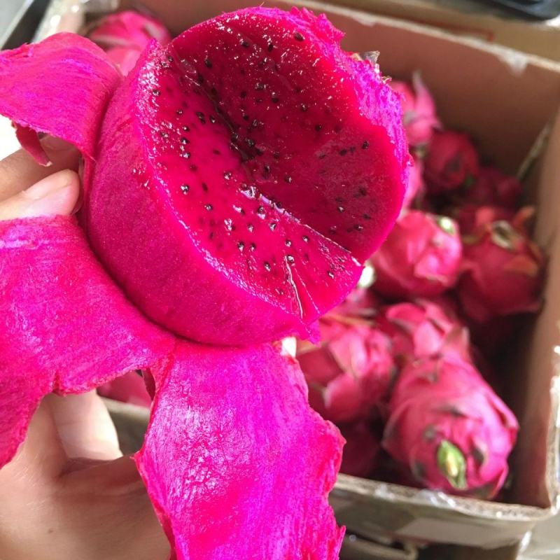 [红心火龙果]红心火龙果新鲜正宗水果一整箱时令当季红肉