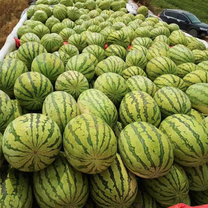 宁夏石头瓜大量上市，口感好价格实惠，欢迎咨询