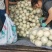 【牛商推荐东方蜜2号红金蜜红玉甜瓜，万亩大棚基地一手货源
