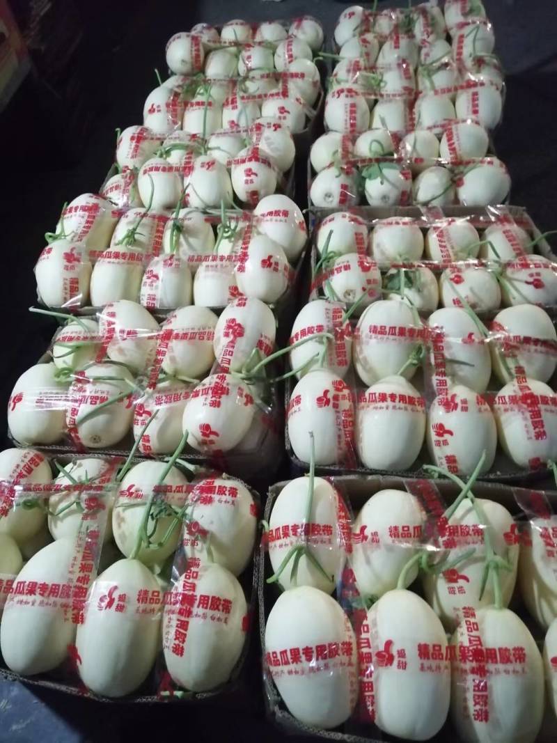 【牛商推荐东方蜜2号红金蜜红玉甜瓜，万亩大棚基地一手货源