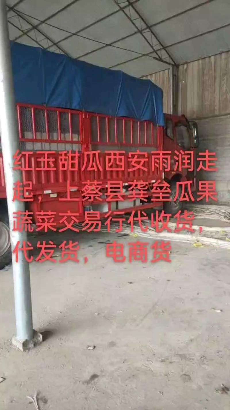 河南红玉甜瓜，白皮红肉，东方蜜万亩大棚基地，代收货，代发电商