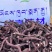 紫草#产底直销西藏野生紫草【西藏拥嘉药材】