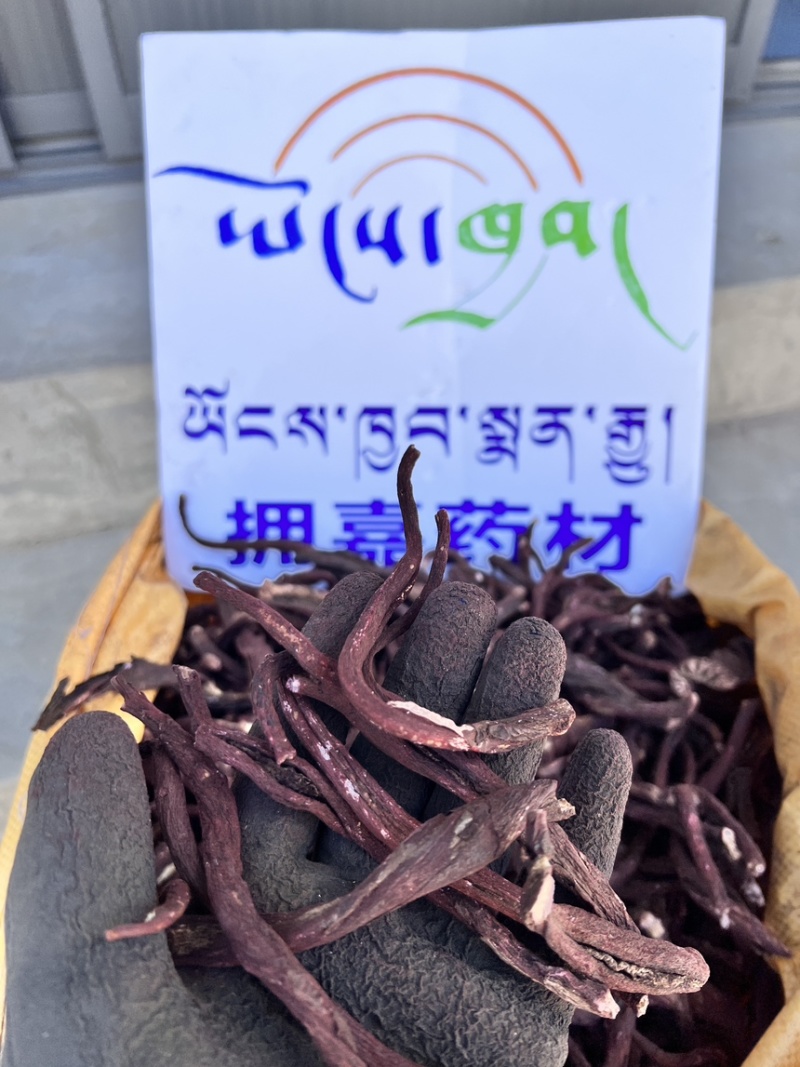 紫草#产底直销西藏野生紫草【西藏拥嘉药材】