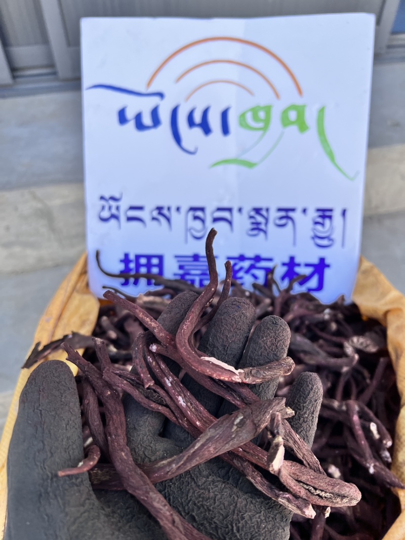 紫草#产底直销西藏野生紫草【西藏拥嘉药材】