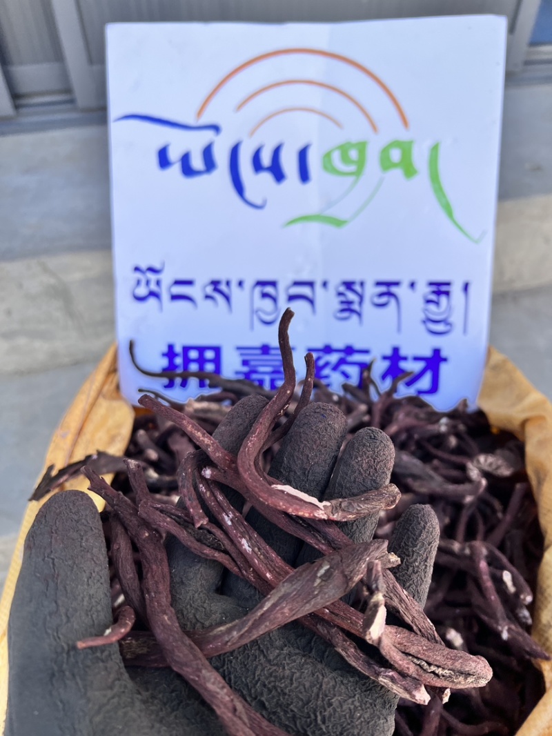 紫草#产底直销西藏野生紫草【西藏拥嘉药材】