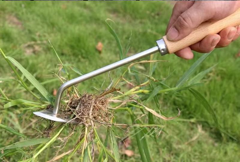 除草神器拔草连根手工园艺铲子松土取根起草器挖土挖野菜农用