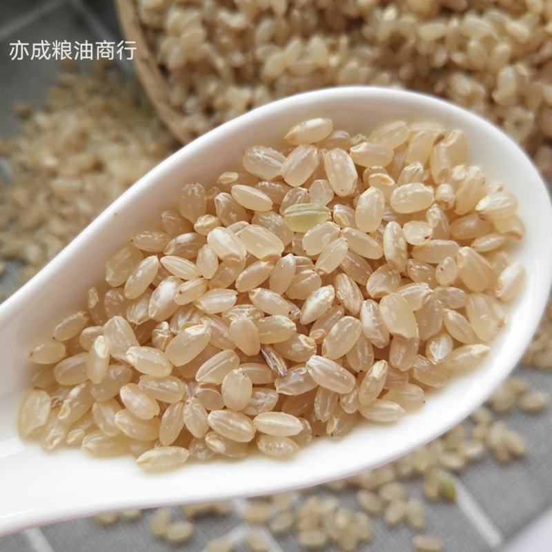 糙米批发农家圆粒白糙米新货糙米五谷杂粮
