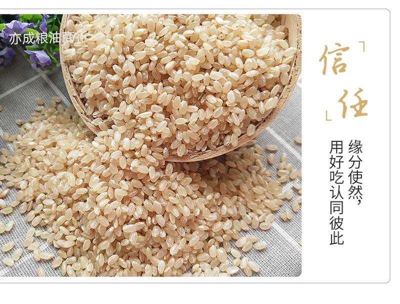 糙米批发农家圆粒白糙米新货糙米杂粮