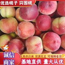 河北桃子突围桃品种多价格便宜规格齐全对接商超市场