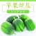 苹果丝瓜菜瓜商超社区群微商直播带货落地配供应链一件