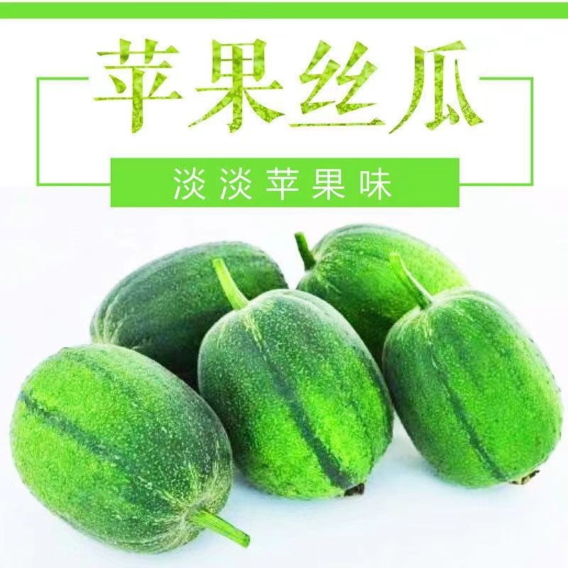 苹果丝瓜菜瓜商超社区群微商直播带货落地配供应链一件