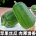 苹果丝瓜菜瓜商超社区群微商直播带货落地配供应链一件