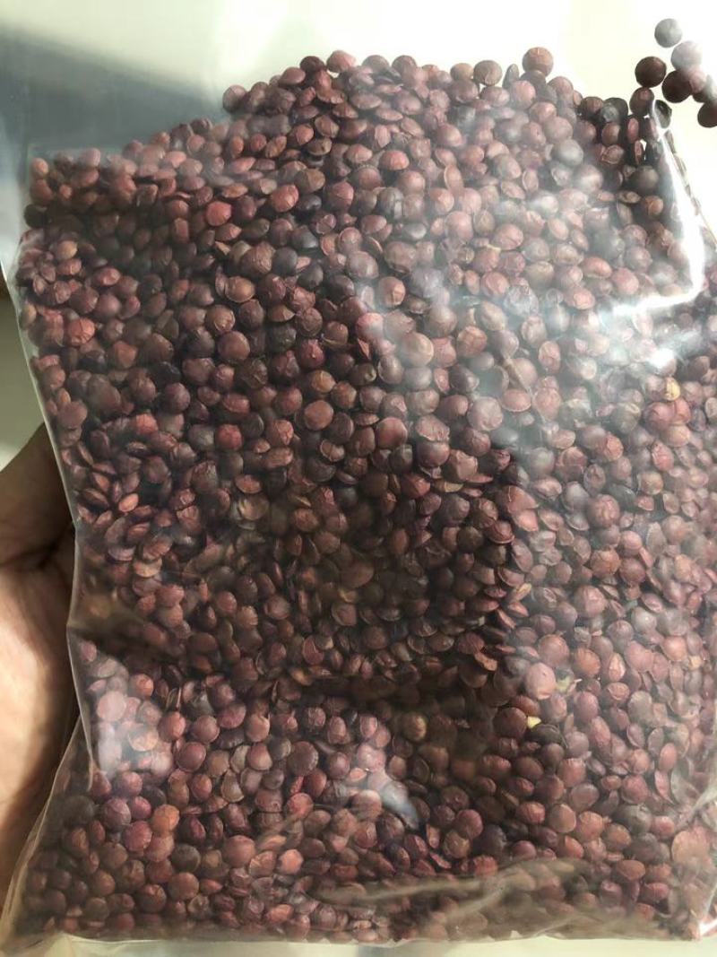 【正品酸枣仁包邮】酸枣仁新货散装酸枣仁带壳中药材