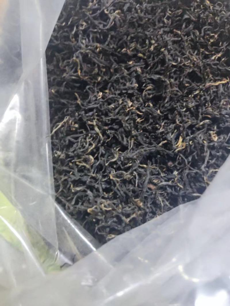 高山红茶