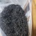 高山红茶