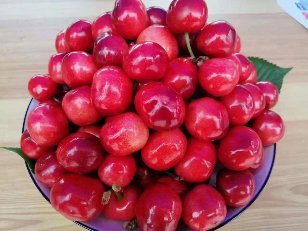 一位女性正在用水冲洗一碗新鲜樱桃,背景为现代厨房环境 樱桃清洗过程