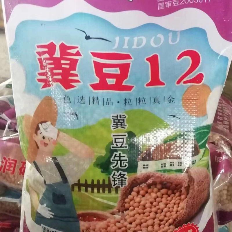 冀豆12大豆种子