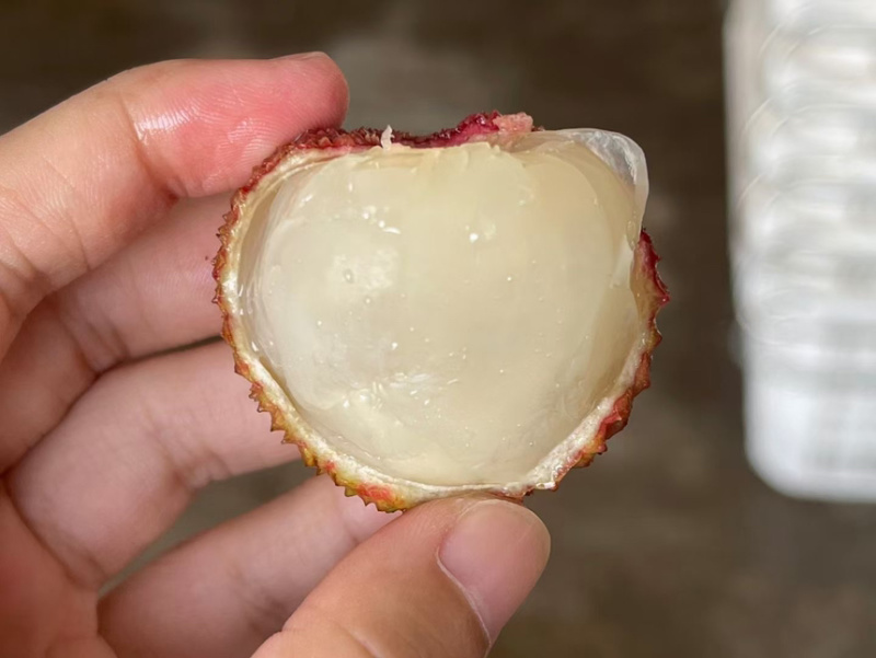 广东妃子笑荔枝，白糖罂荔枝大量上市了，核小肉厚，