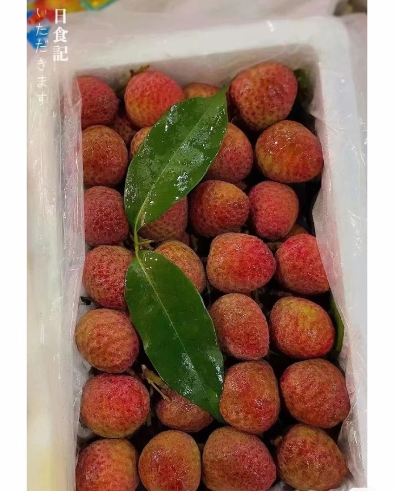 广东妃子笑荔枝，白糖罂荔枝大量上市了，核小肉厚，