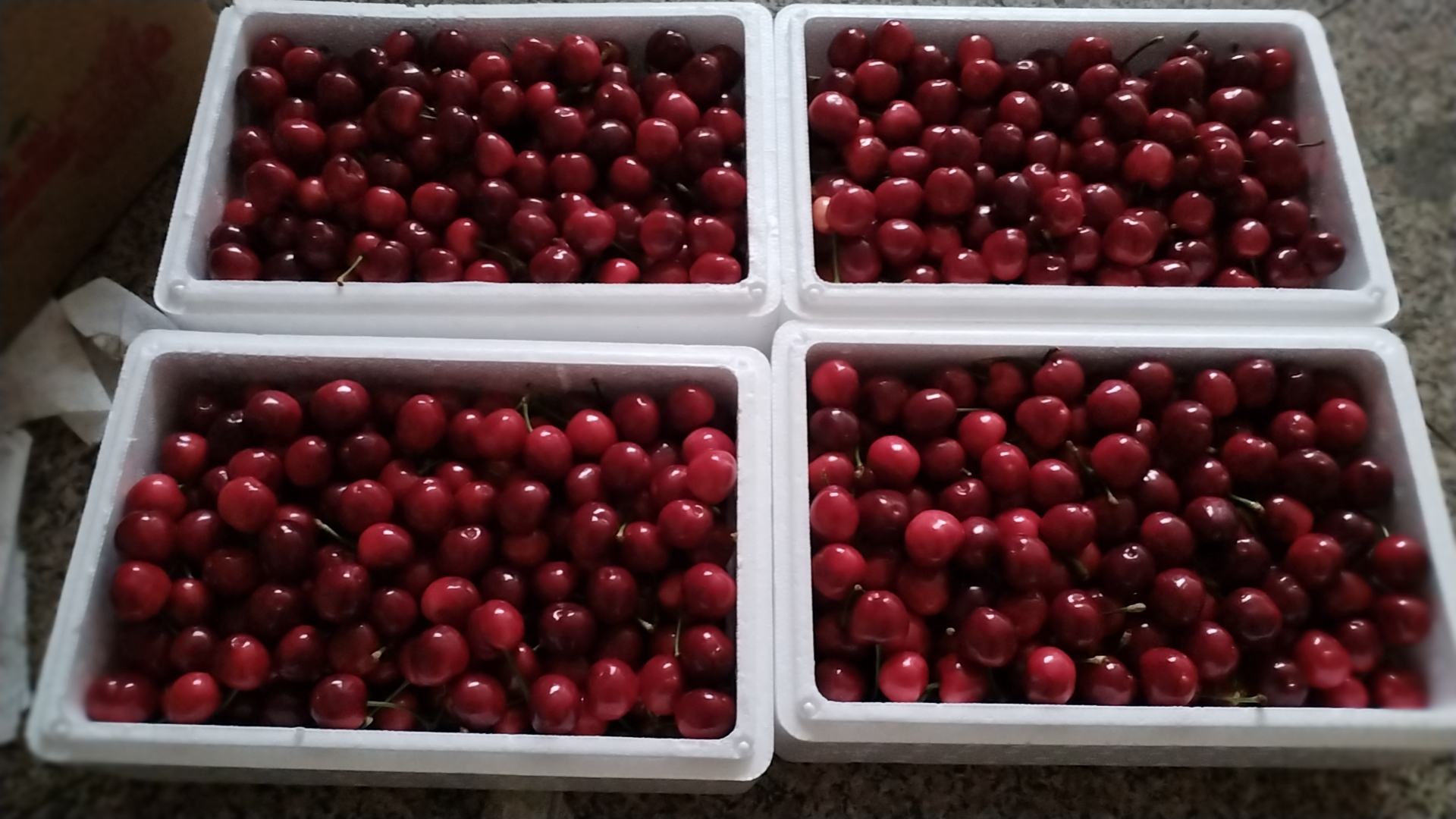 美早樱桃礼盒装